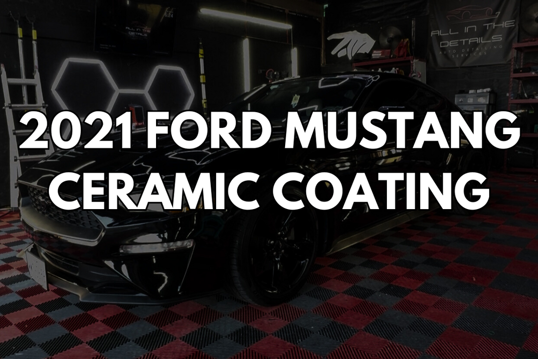 2021 Mustang EcoBoost Ceramic Coating in Waco | All in the Details